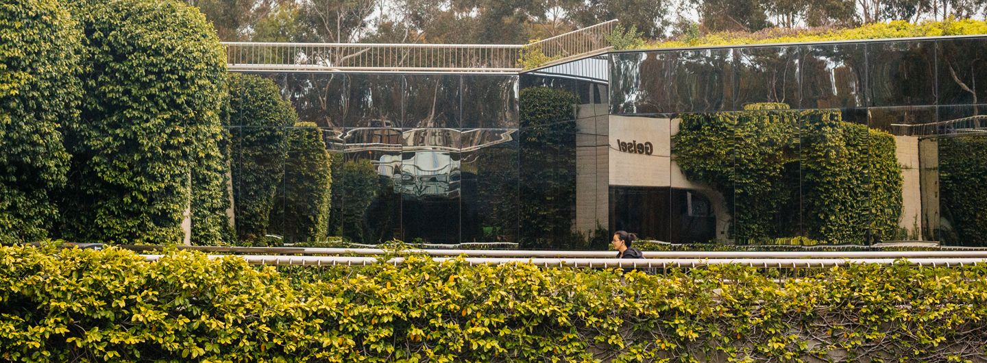 Walkway at base of Geisel Library, covered in ivy / reflected in the mirror-like windows